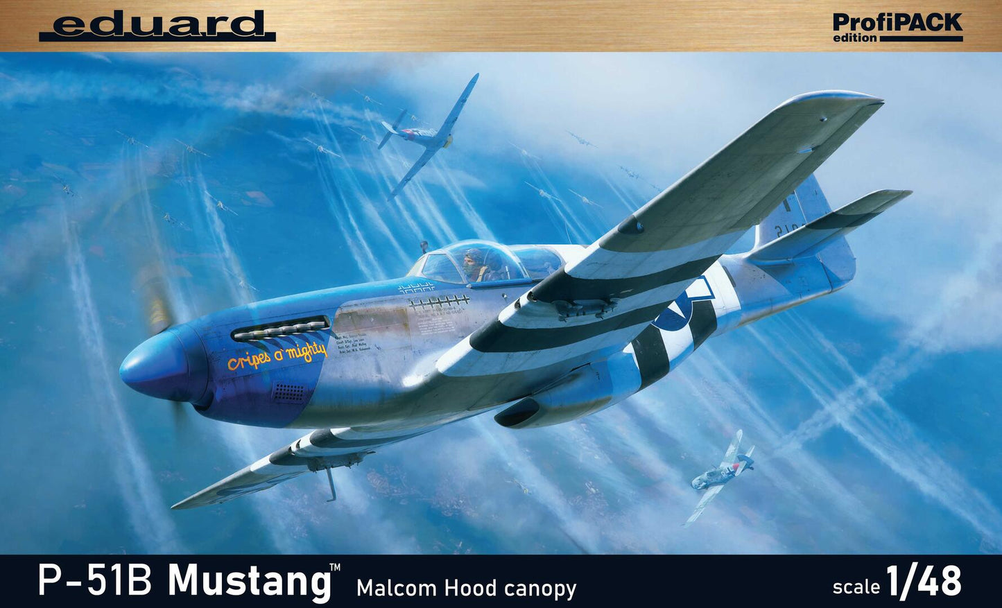 010 - North American P-51B Mustang - primary image