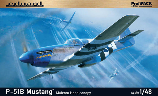 010 - North American P-51B Mustang - primary image