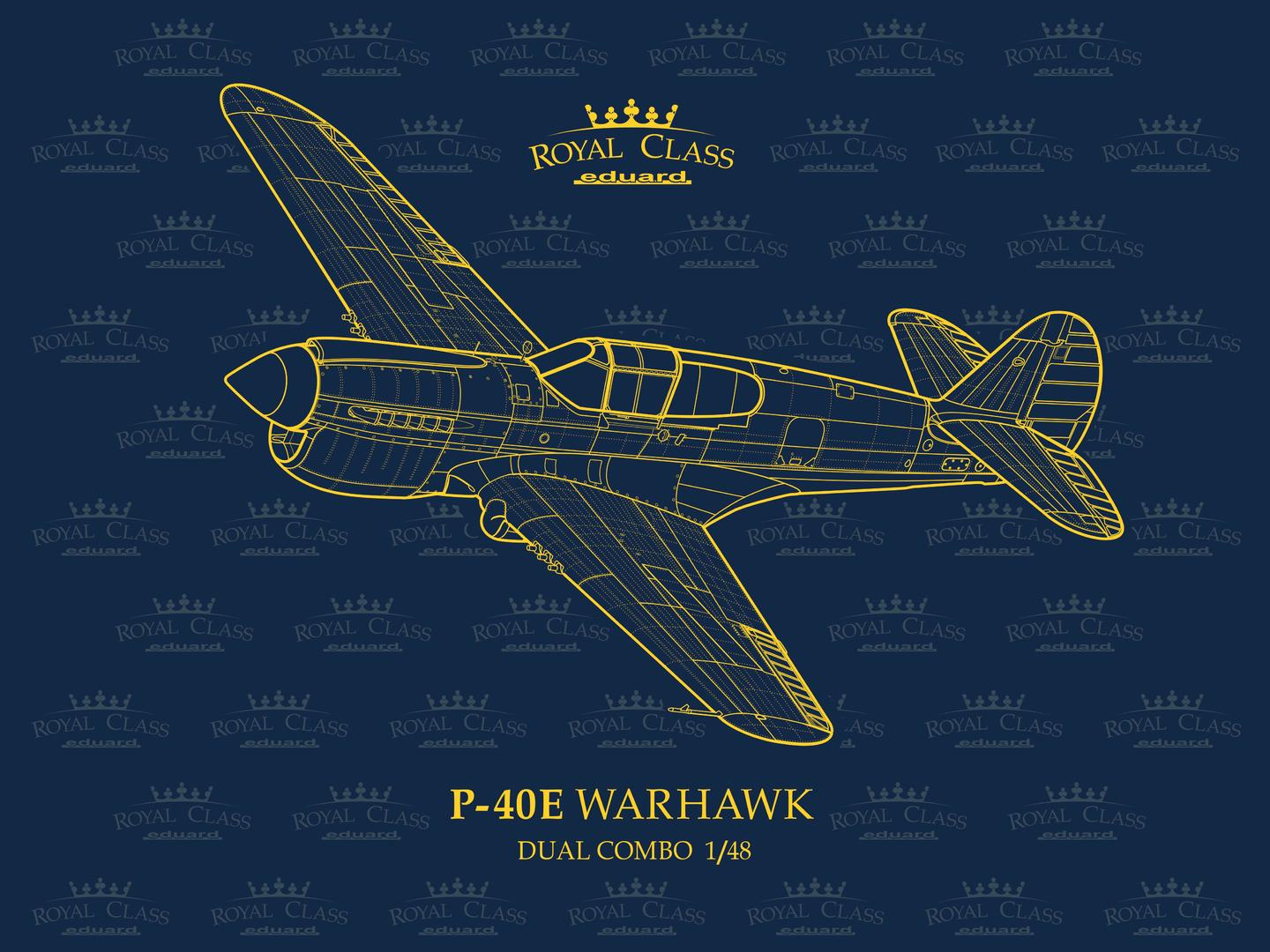 010 - Curtiss P-40E Warhawk / Kittyhawk Mk Ia - primary image