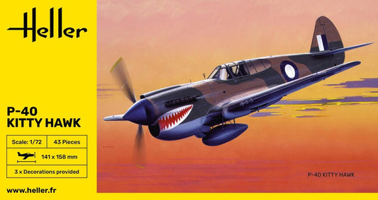 010 - Curtiss Kittyhawk Mk I / P-40E Warhawk - primary image
