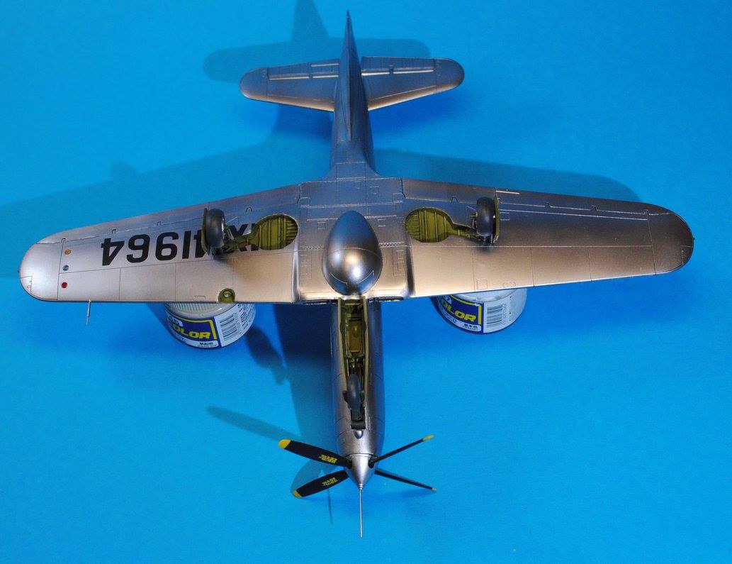 711 - Dora Wings - 48003 - Bell TP-63E Kingcobra - painted model