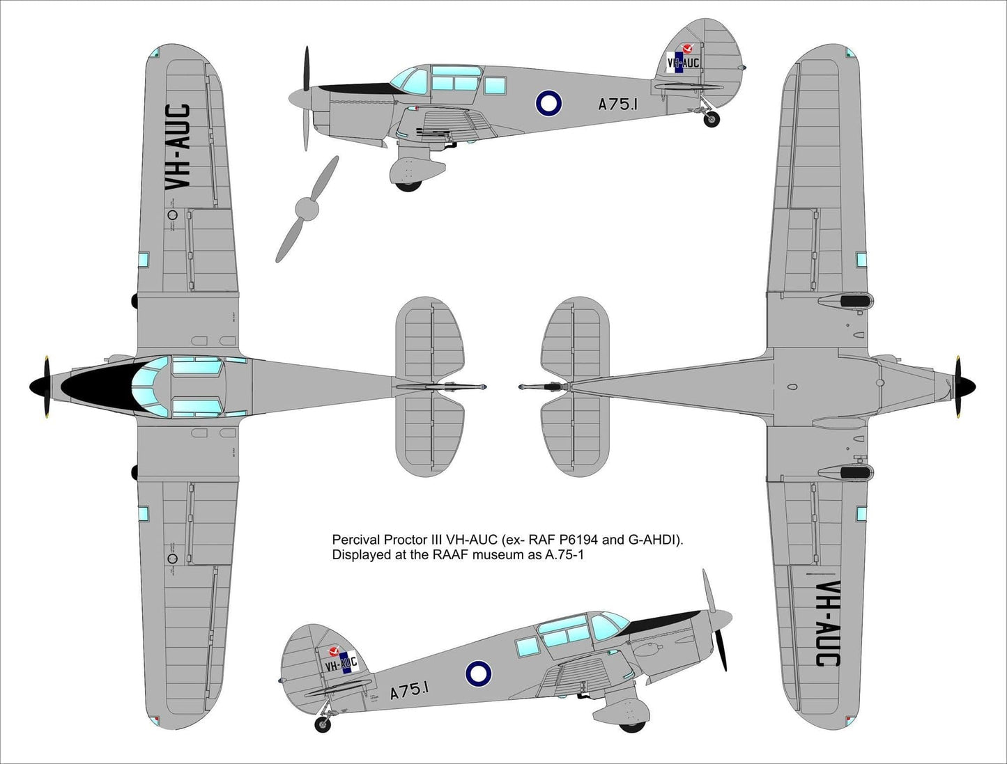 301 - Dora Wings - 48016 - Percival Proctor Mk III - paint schemes