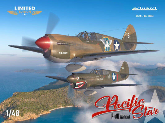 010 - Curtiss P-40E Warhawk ‘Pacific Stars’ - primary image