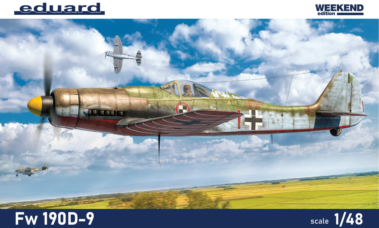 010 - Focke-Wulf Fw 190 D-9 - primary image