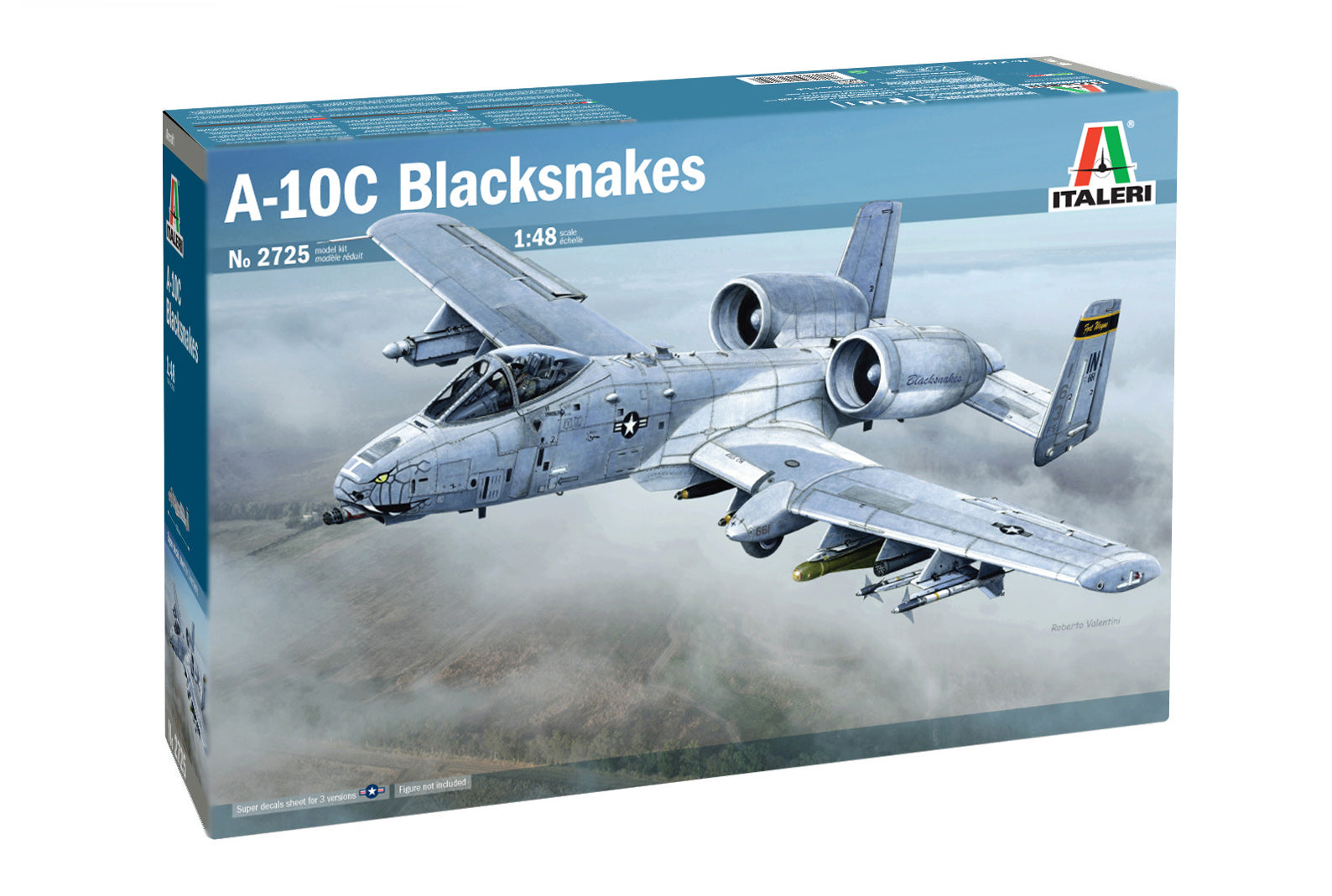 A-1C Thunderbolt II « Blacksnakes » de Fairchild Republic