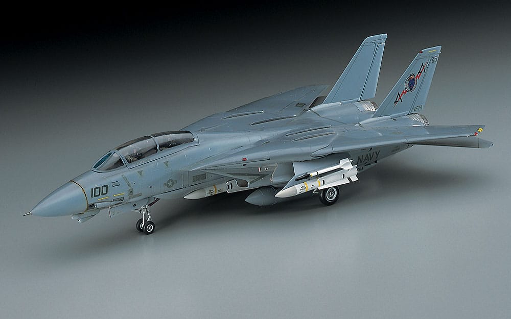 Hasegawa - E02 - Grumman F-14A Tomcat - painted model