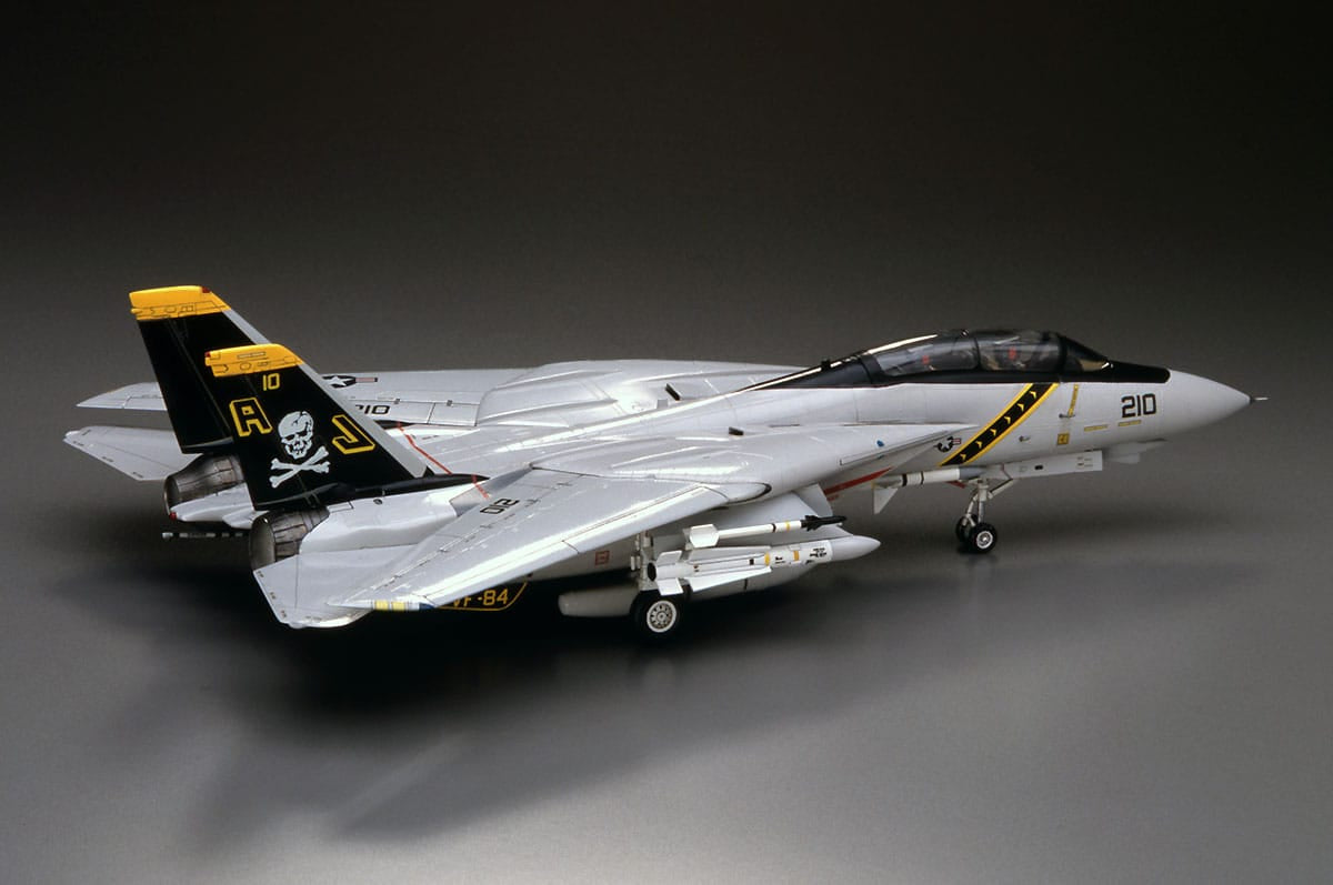 700 - Hasegawa - E03 - Grumman F-14A Tomcat - painted model