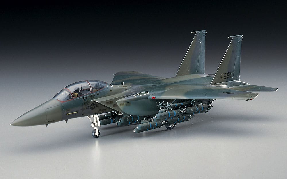 700 - Hasegawa - E10 - McDonnell Douglas F-15E Strike Eagle - painted model