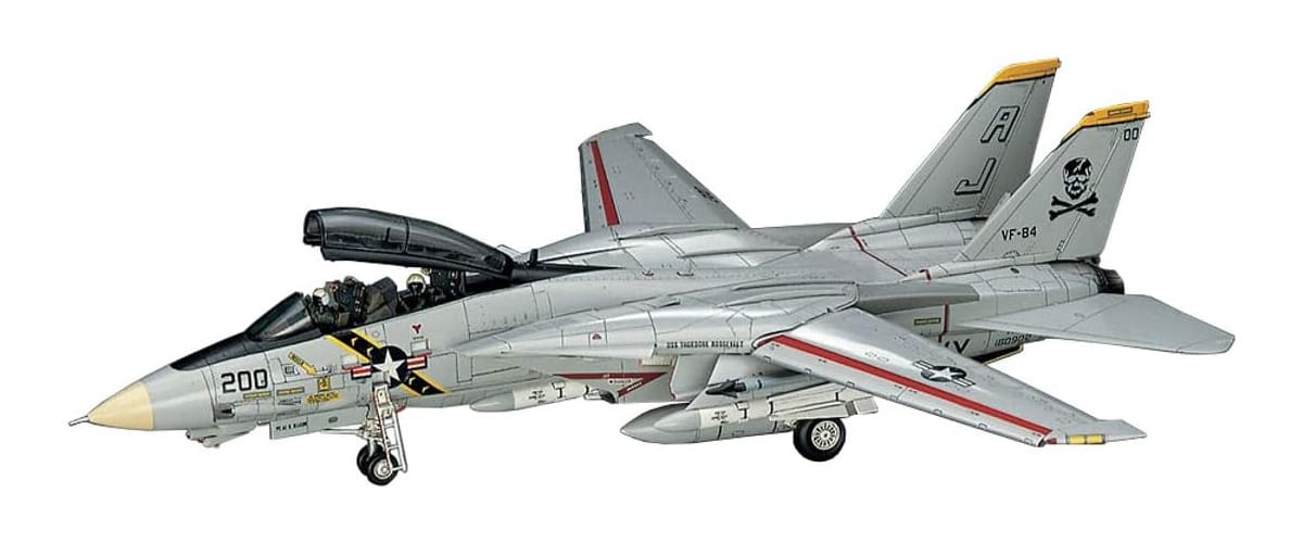 Hasegawa - E14 - Grumman F-14A Tomcat - painted model
