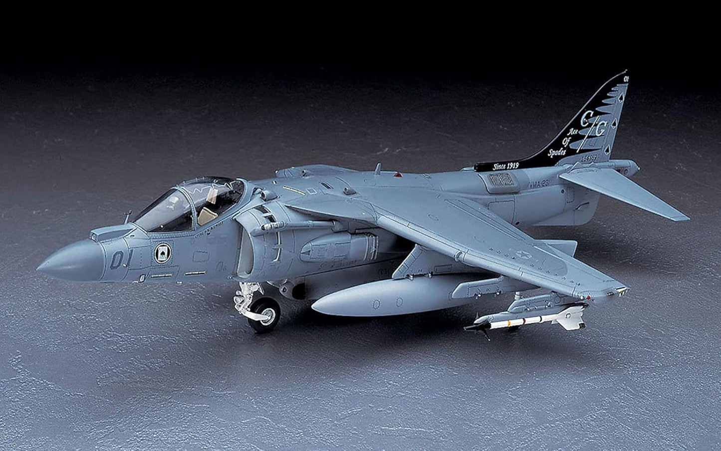 700 - Hasegawa - PT28 - McDonnell Douglas AV-8B Harrier II Plus - painted model