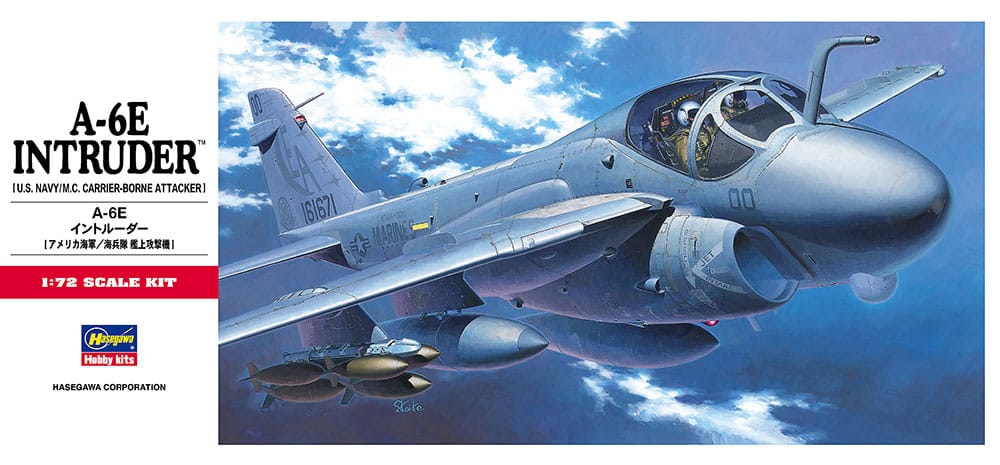 010 - Hasegawa - C08 - Grumman A-6E Intruder - primary image