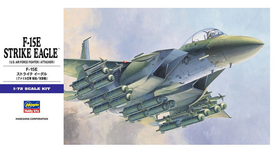 010 - Hasegawa - E10 - McDonnell Douglas F-15E Strike Eagle - primary image