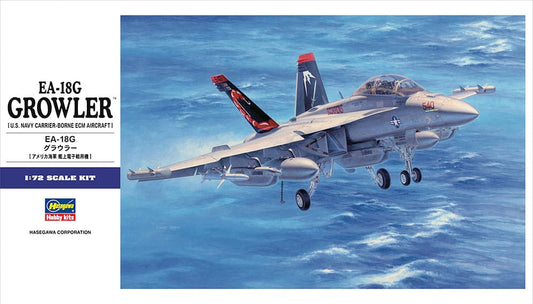 010 - Hasegawa - E38 - Boeing EA-18G Growler - primary image