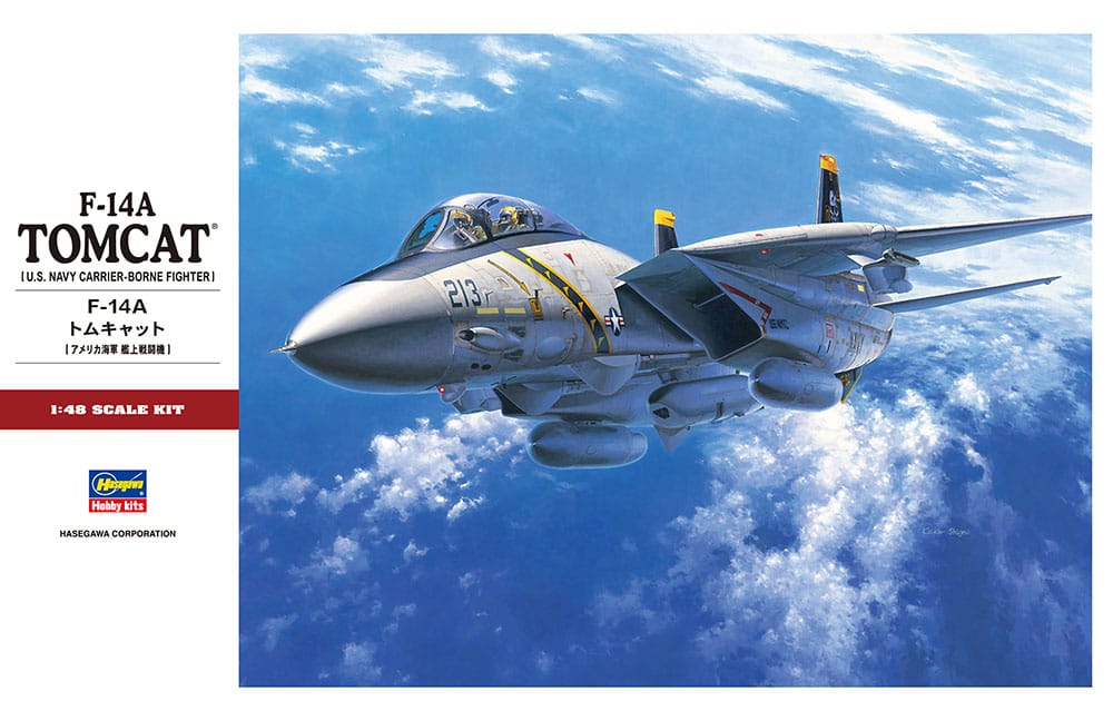 010 - Hasegawa - PT46 - Grumman F-14A Tomcat - primary image
