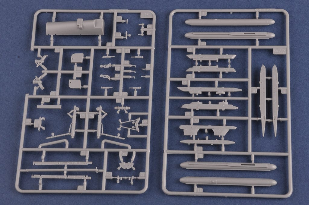 206 - HobbyBoss - 81713 - Sukhoi Su-27UB Flanker C - sprue