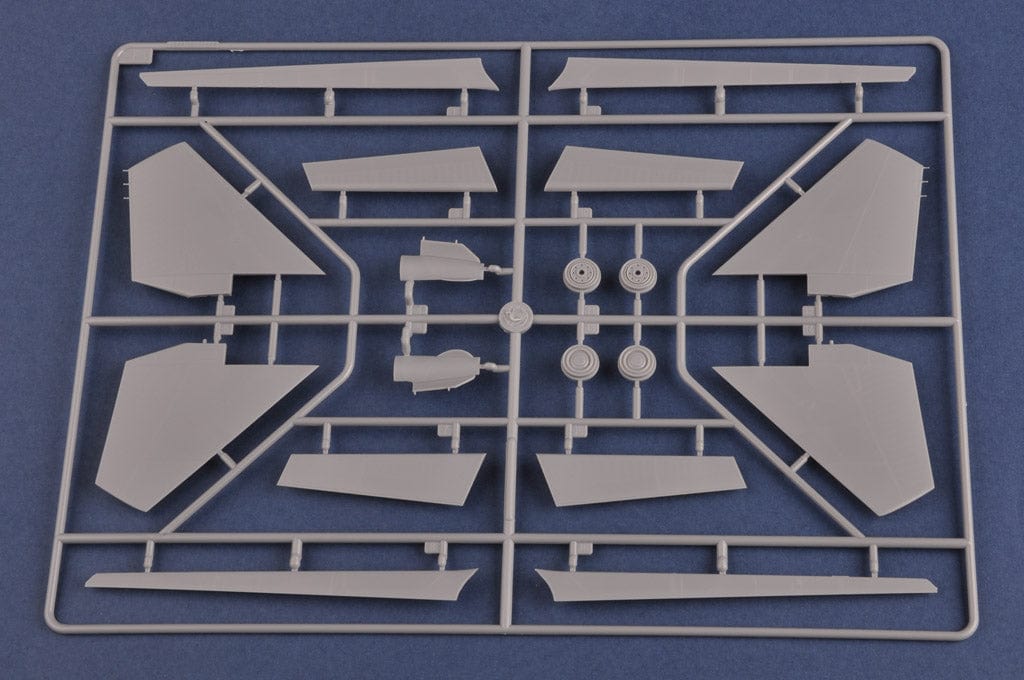 202 - HobbyBoss - 81713 - Sukhoi Su-27UB Flanker C - sprue
