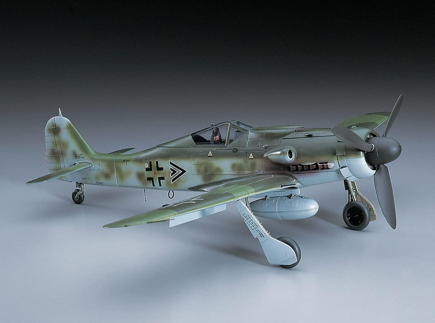 700 - Hasegawa - ST19 - Focke-Wulf Fw 190 D-9 - painted model