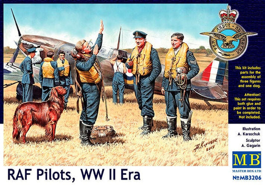 010 - primary image - British Royal Air Force Pilots