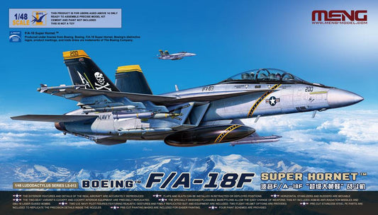 010 - primary image - Boeing F/A-18F Super Hornet