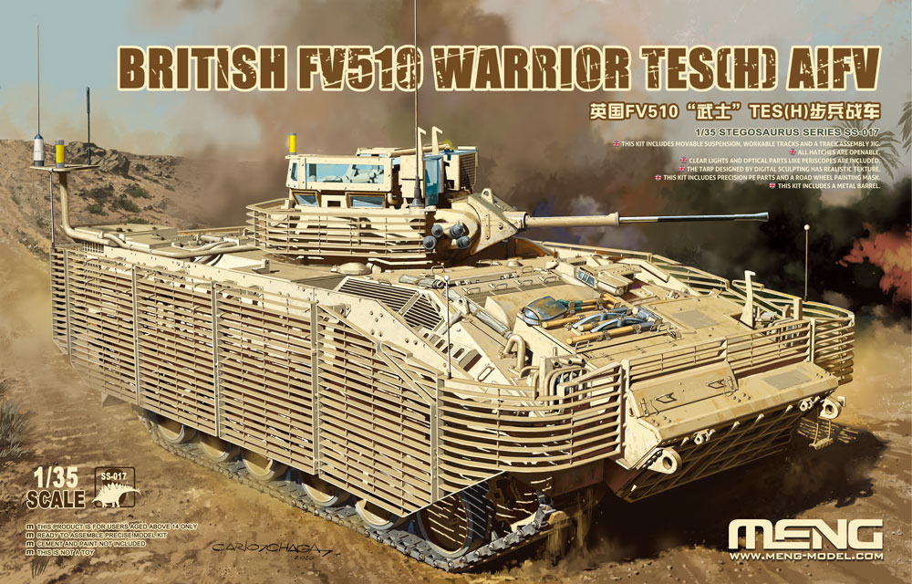 010 - FV510 Warrior TES(H) - primary image